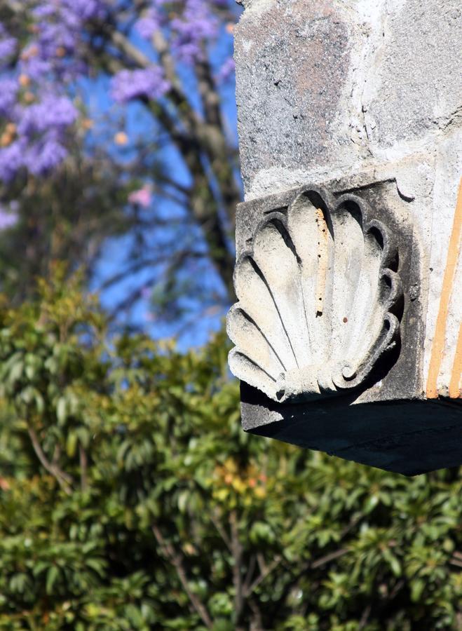 Casa De Las Conchas Cuernavaca Kültér fotó